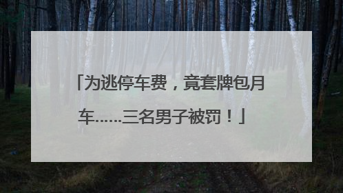为逃停车费，竟套牌包月车……三名男子被罚！