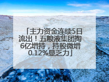 主力资金连续5日流出！五粮液集团掏6亿增持，持股微增0.12%显乏力