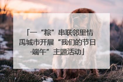 一“粽”串联邻里情 禹城市开展“我们的节日·端午”主题活动