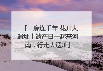 一廊连千年 花开大遗址丨遗产日一起来河南，行走大遗址