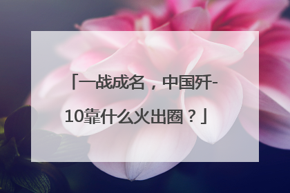 一战成名，中国歼-10靠什么火出圈？
