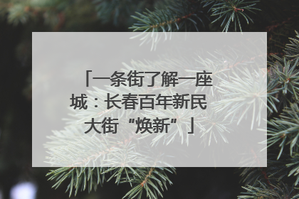 一条街了解一座城：长春百年新民大街“焕新”