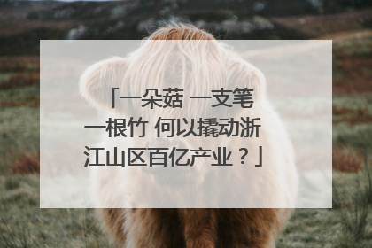 一朵菇 一支笔 一根竹 何以撬动浙江山区百亿产业？