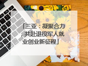 三亚：凝聚合力，共赴退役军人就业创业新征程