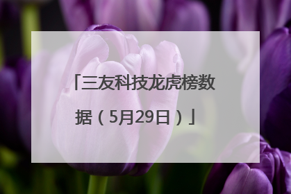 三友科技龙虎榜数据（5月29日）