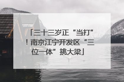 三十三岁正“当打”！南京江宁开发区“三位一体”挑大梁