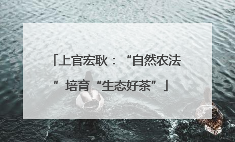 上官宏耿：“自然农法”培育“生态好茶”