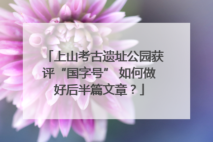 上山考古遗址公园获评“国字号” 如何做好后半篇文章？