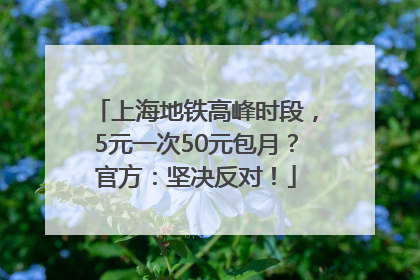 上海地铁高峰时段，5元一次50元包月？官方：坚决反对！