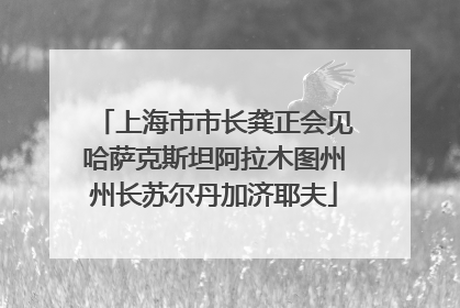 上海市市长龚正会见哈萨克斯坦阿拉木图州州长苏尔丹加济耶夫