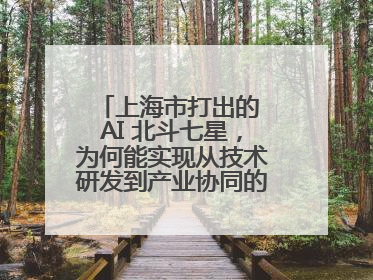 上海市打出的 AI 北斗七星，为何能实现从技术研发到产业协同的闭环生态