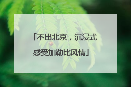 不出北京，沉浸式感受加勒比风情