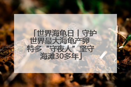 世界海龟日丨守护世界最大海龟产卵 特多“守夜人”坚守海滩30多年