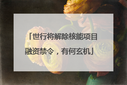 世行将解除核能项目融资禁令，有何玄机