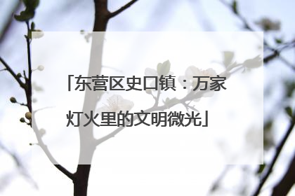 东营区史口镇：万家灯火里的文明微光