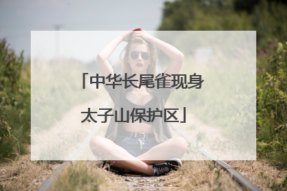 中华长尾雀现身太子山保护区