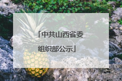 中共山西省委组织部公示