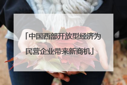 中国西部开放型经济为民营企业带来新商机