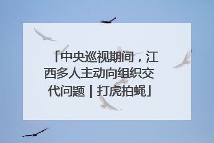 中央巡视期间，江西多人主动向组织交代问题｜打虎拍蝇