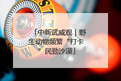 中新武威观｜野生动物频繁“打卡”民勤沙漠