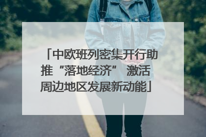 中欧班列密集开行助推“落地经济” 激活周边地区发展新动能