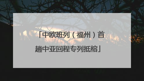 中欧班列（福州）首趟中亚回程专列抵榕