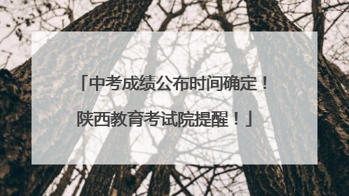中考成绩公布时间确定！陕西教育考试院提醒！