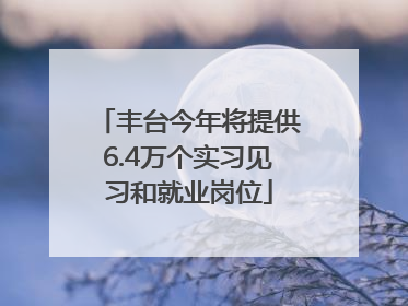 丰台今年将提供6.4万个实习见习和就业岗位