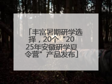 丰富暑期研学选择，20个“2025年安徽研学夏令营”产品发布