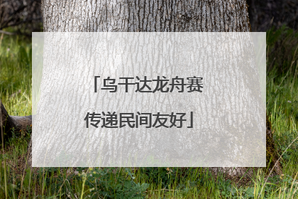 乌干达龙舟赛传递民间友好