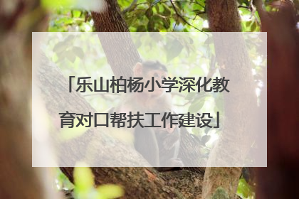 乐山柏杨小学深化教育对口帮扶工作建设