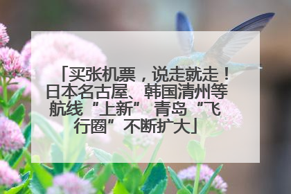 买张机票，说走就走！日本名古屋、韩国清州等航线“上新” 青岛“飞行圈”不断扩大
