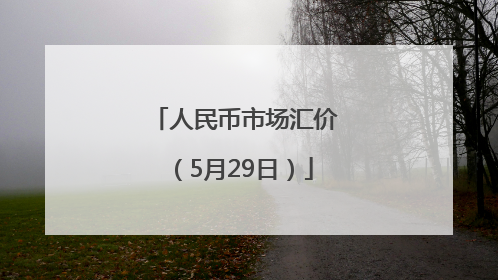 人民币市场汇价（5月29日）