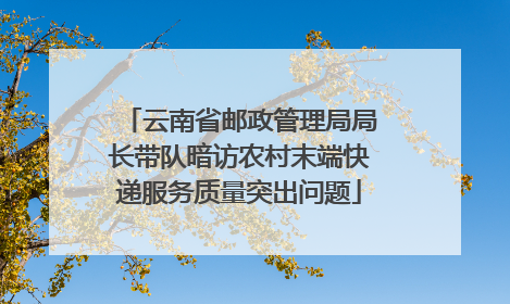 云南省邮政管理局局长带队暗访农村末端快递服务质量突出问题