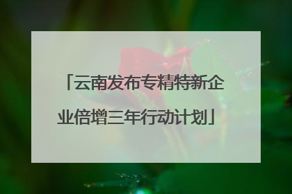 云南发布专精特新企业倍增三年行动计划