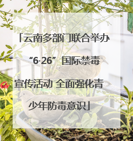 云南多部门联合举办“6·26”国际禁毒宣传活动 全面强化青少年防毒意识