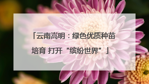 云南嵩明：绿色优质种苗培育 打开“缤纷世界”