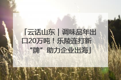 云话山东｜调味品年出口20万吨！乐陵连打新“牌”助力企业出海