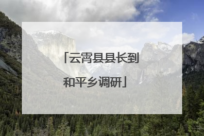 云霄县县长到和平乡调研