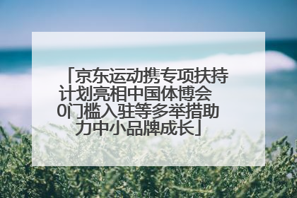 京东运动携专项扶持计划亮相中国体博会 0门槛入驻等多举措助力中小品牌成长
