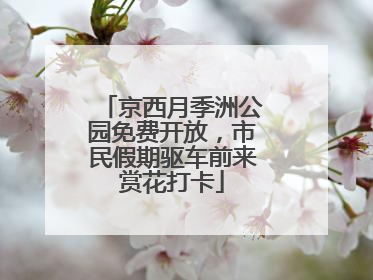 京西月季洲公园免费开放，市民假期驱车前来赏花打卡