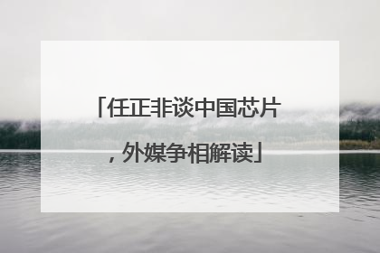 任正非谈中国芯片，外媒争相解读