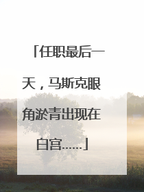 任职最后一天，马斯克眼角淤青出现在白宫……