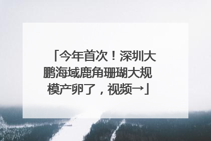 今年首次！深圳大鹏海域鹿角珊瑚大规模产卵了，视频→