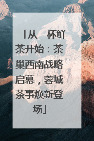 从一杯鲜茶开始：茶巢西南战略启幕，蓉城茶事焕新登场