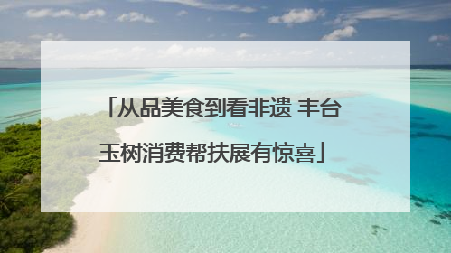从品美食到看非遗 丰台玉树消费帮扶展有惊喜