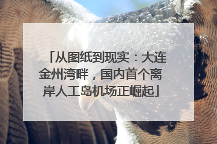 从图纸到现实：大连金州湾畔，国内首个离岸人工岛机场正崛起