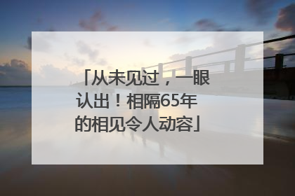 从未见过，一眼认出！相隔65年的相见令人动容