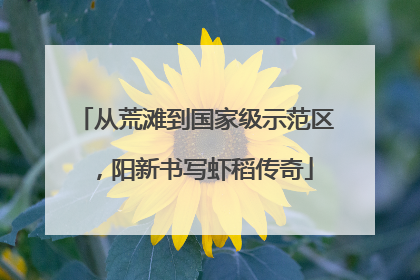 从荒滩到国家级示范区，阳新书写虾稻传奇