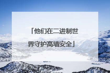 他们在二进制世界守护高墙安全